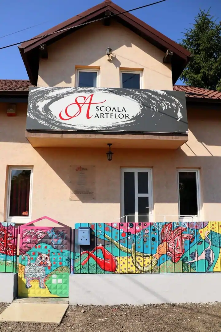 scoala artelor intrare